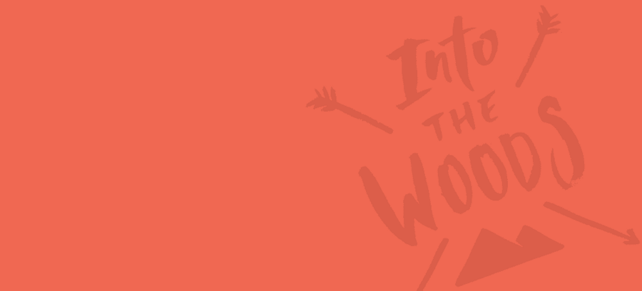 Dometic.Core.BL.Model.Asset?.Title