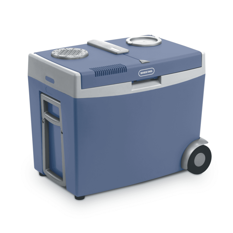 Electric cooler 110 volt online